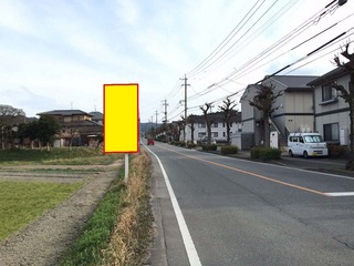 hiranodaiI2MG_9544.jpg